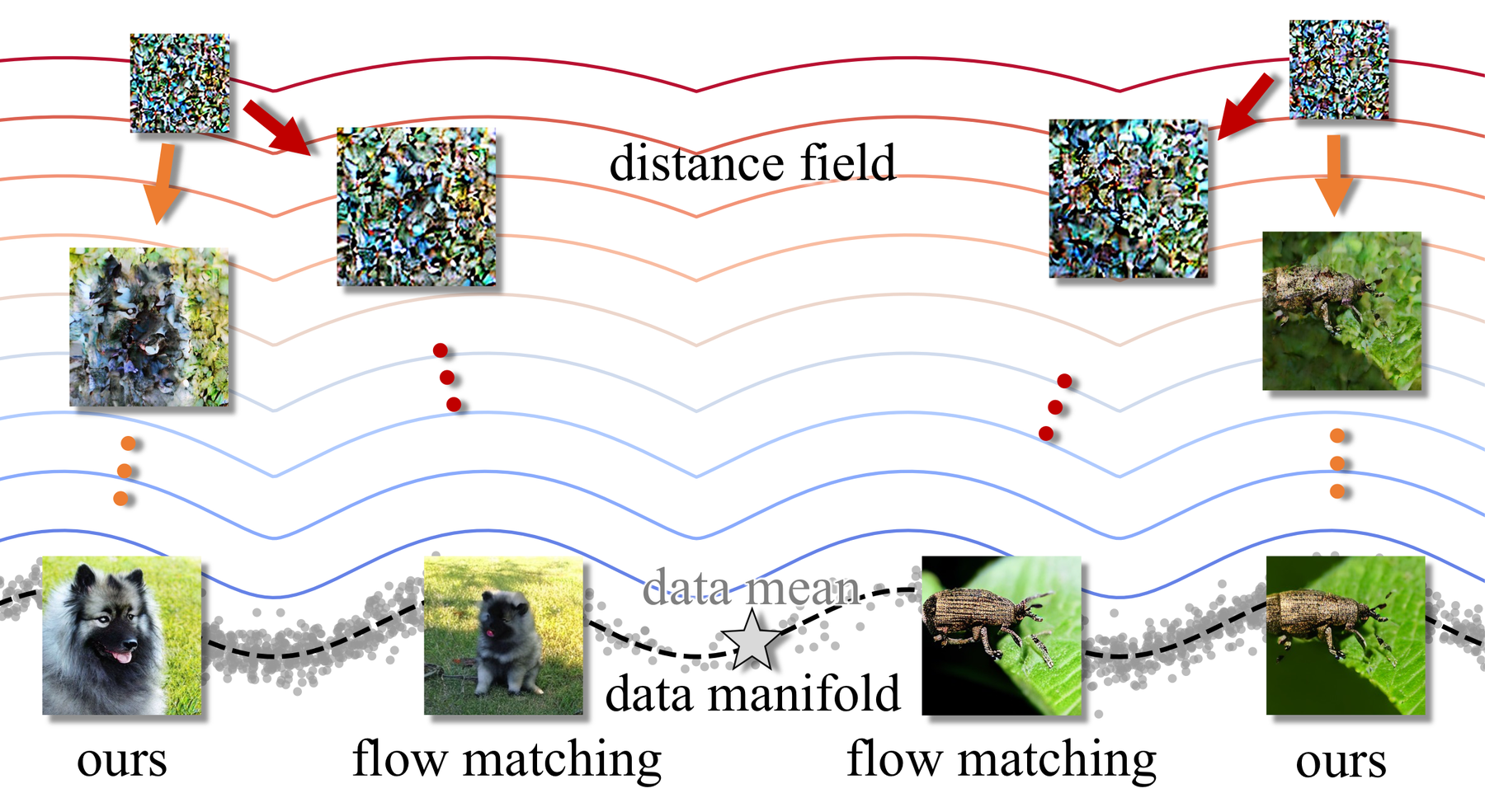 Sampling trajectories of Distance Marching versus flow matching on a distance field over the data manifold